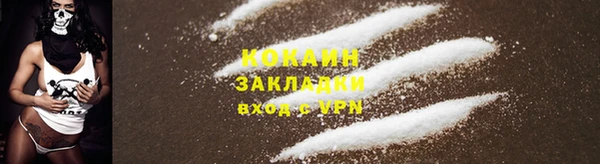 бошки Аркадак