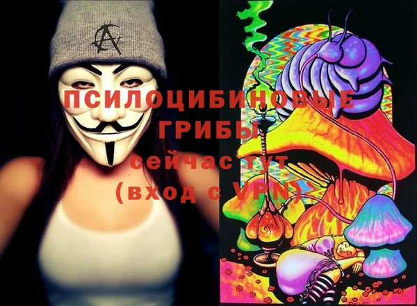 бошки Аркадак